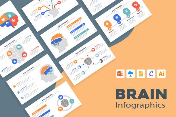 Exploring Brain Infographic Templates Layout: A Comprehensive Guide